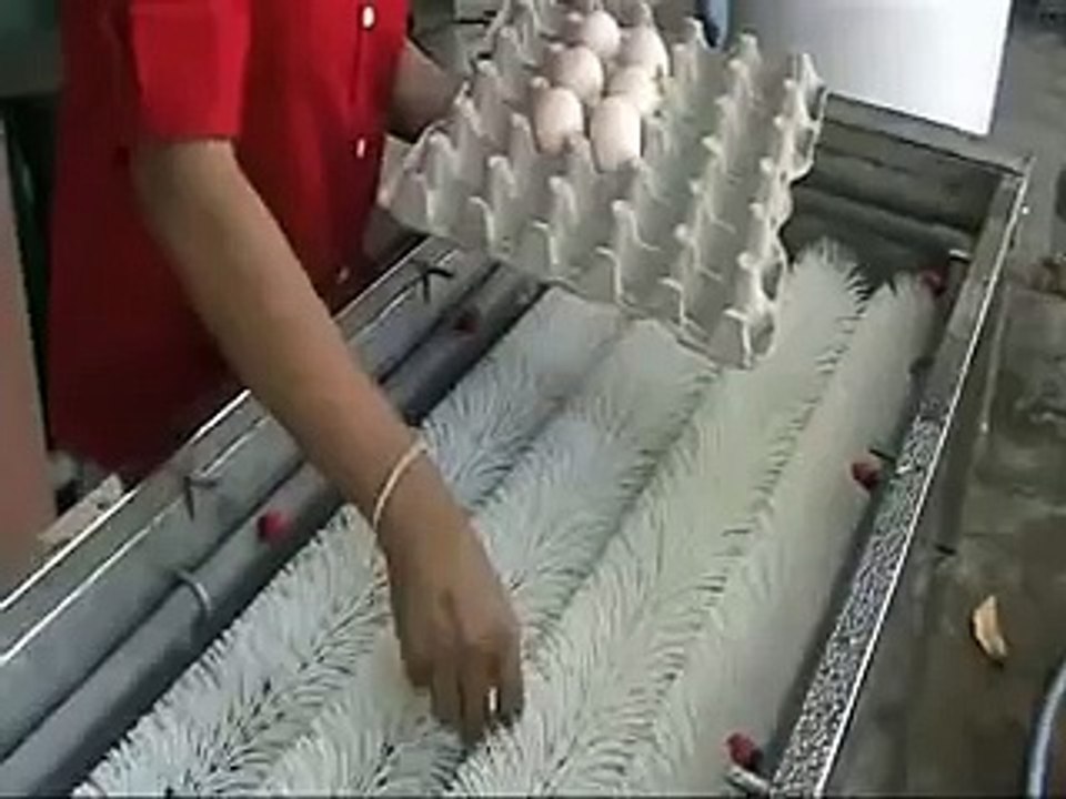 MESIN CUCI TELUR