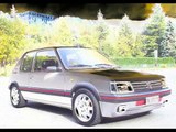 PEUGEOT 205 1.9 GTI by DANILOVIC.83