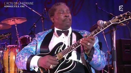 Alcaline, le Mag : Les news avec Youssoupha, Elliott Murphy et Too Many Zooz