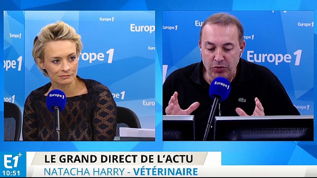 Natacha Harry : "Il y a encore des cas de rage chez les chauves-souris"