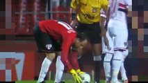 Goalkeeper Rogerio Ceni Amazing Free Kick Goal! São Paulo vs Red Bull 3-0 2015