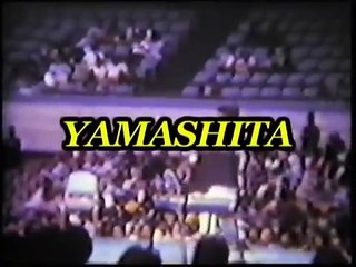 Maestros de las artes marciales 2/2