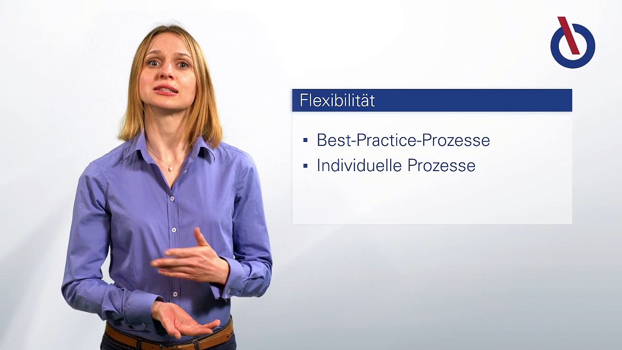 Support-Konzept für ERP-Lösungen mit Microsoft Dynamics NAV
