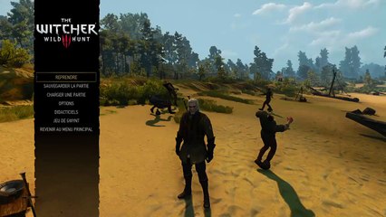 The Witcher 3: Wild Hunt BUG