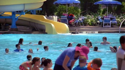 The Dog Who Saved Summer Trailer