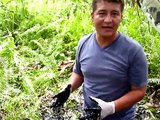 Daños ambientales atribuidos a Chevron en Ecuador