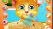 Ginger Cat! Caring for a cat paws! Cartoon about a cat! Cartoons for kids!