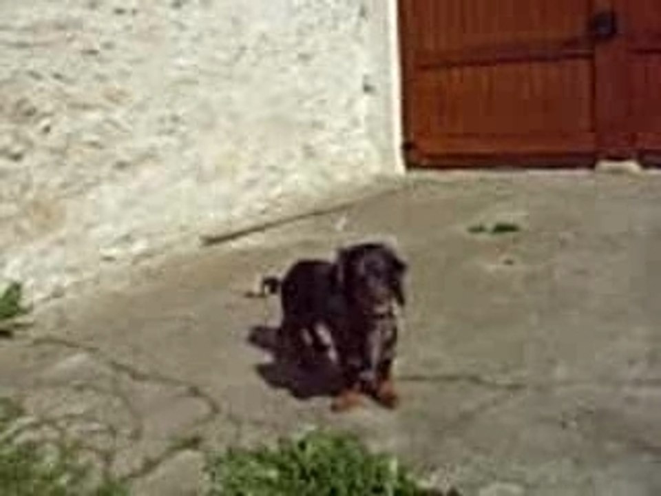 Chloé chef de chantier