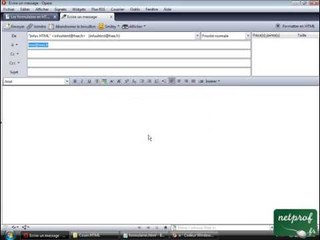 HTML 11.0 : Les formulaires