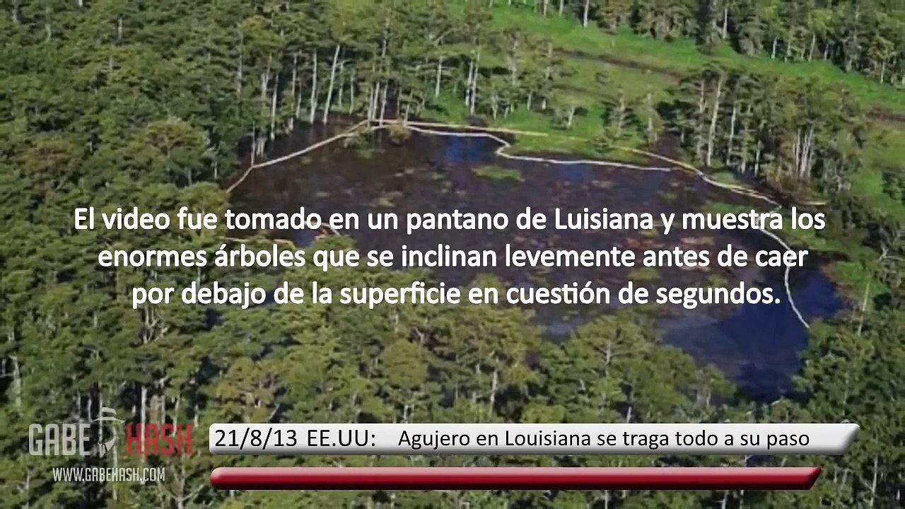 Agujero se traga un bosque en Louisiana EEUU