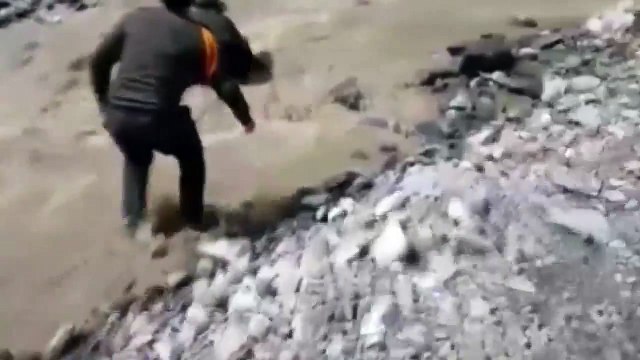 Un policier sauve un chien de la noyade, tombé dans une rivière en crue