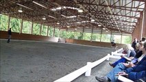Steffen Peters Clinic Footage (A Few Years Old)