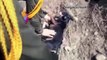 Police Officers Rescue Dog From Drowning In Raging River