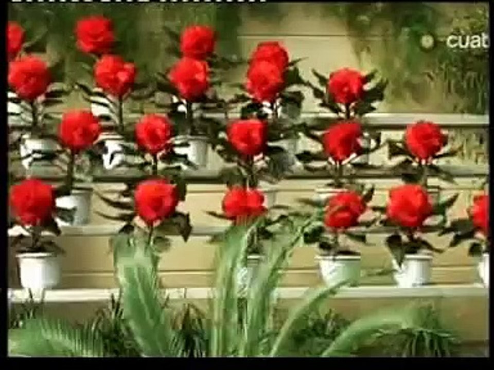 Corea del norte, vida en una dictadura estalinista (reportaje) european spanish (4 de 4)