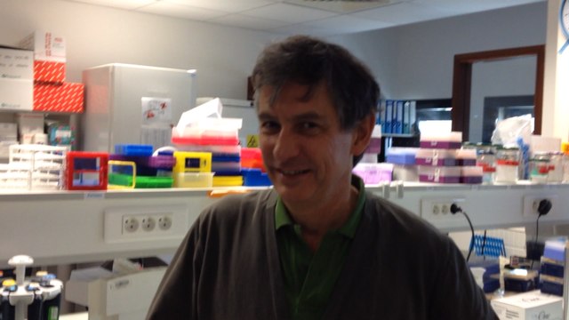 Des Nantais travaillent sur un vaccin contre l'allergie aux acariens