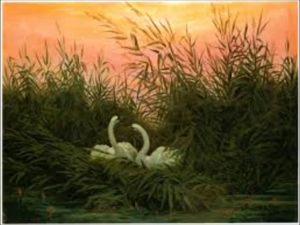 Empyrium - Die Schwäne Im Schilf