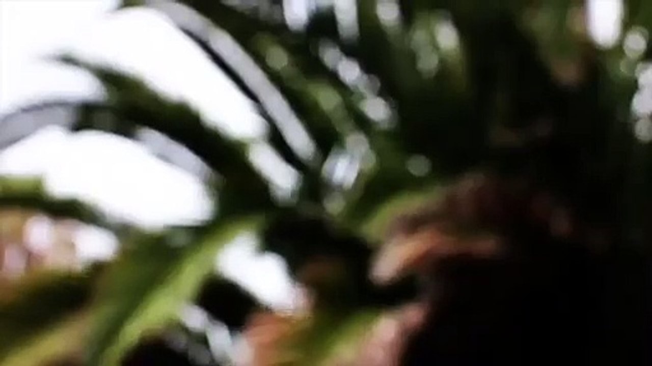 Buy large variety of wide backpacks(Tan,Blue,Black ),Designer Messenger Bags & more