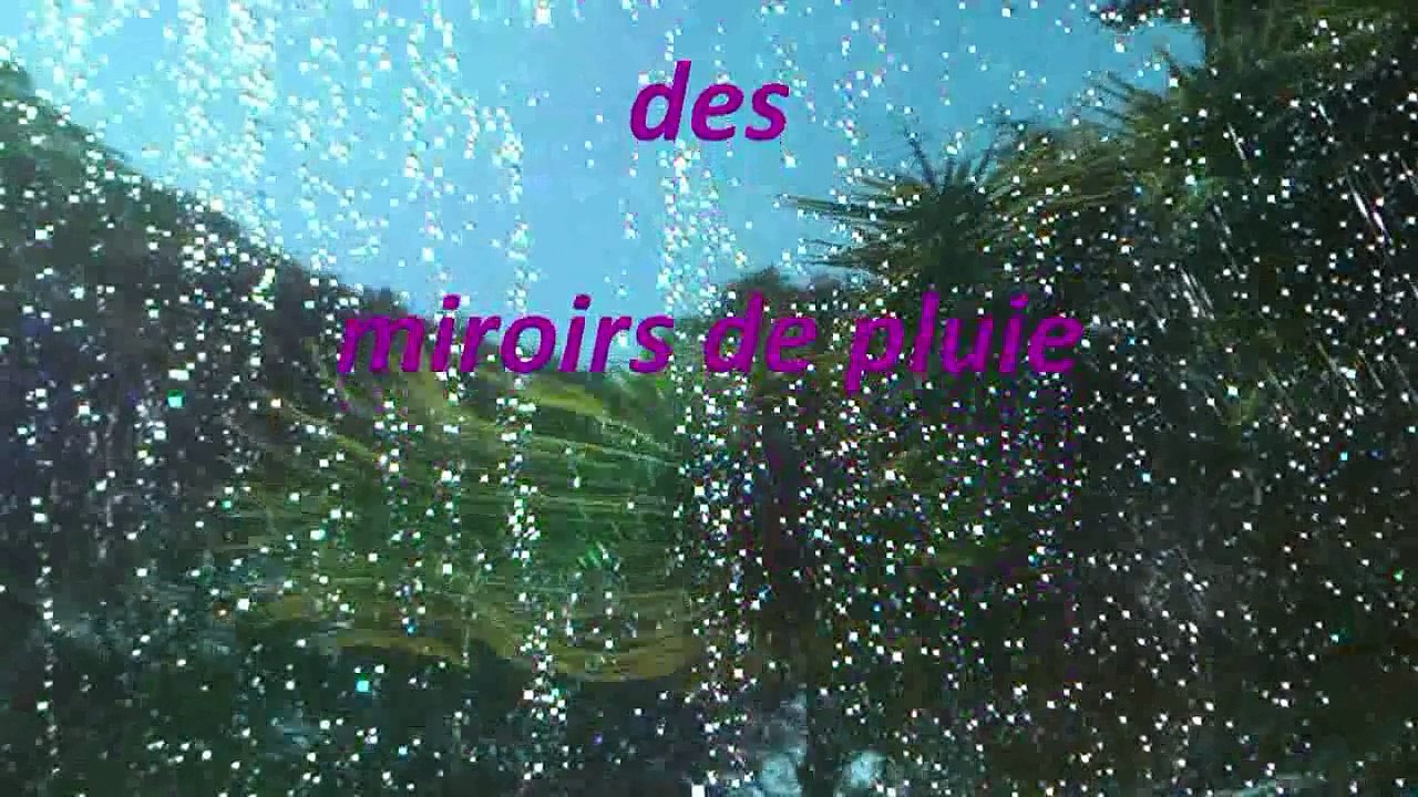 2011-Dans le bruissement des miroirs de pluie