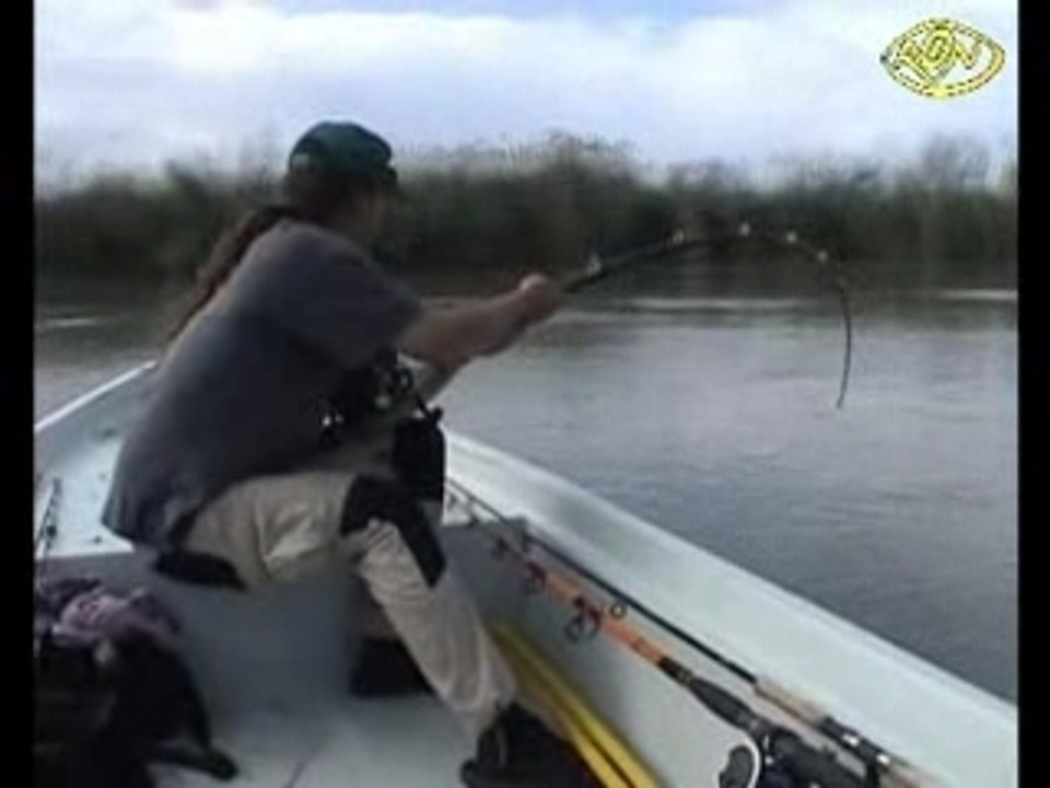 Pêche silure