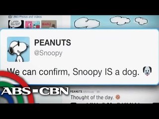 Peanuts: Snoopy is a dog