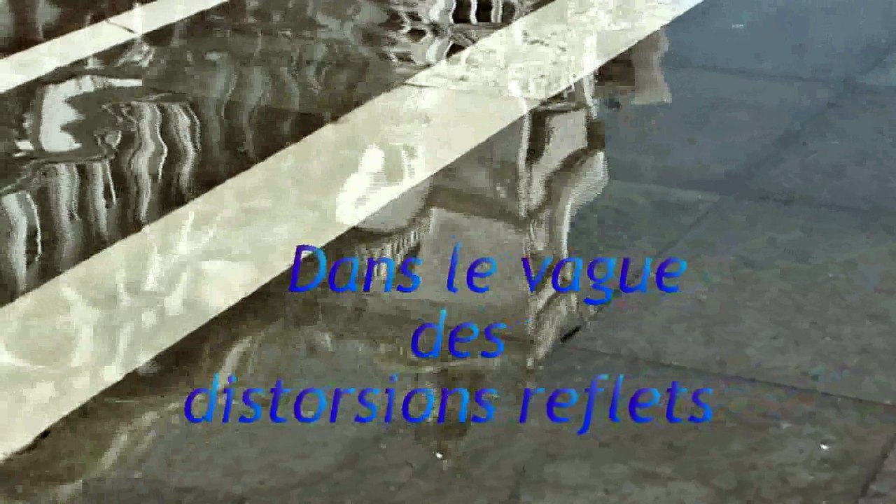 2009-Dans le vague des distorsions reflets