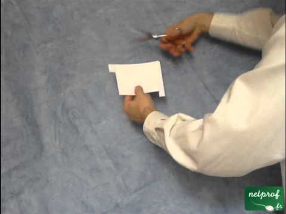 La traversée de la feuille