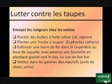 Lutter contre les taupes