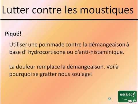Lutter contre les moustiques
