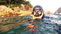 Mares Tempestuosos, Aventuras de Marcelo Ambrogi, Mar Leste, Mergulhos em apneia, Ubatuba, SP, Brasil, 21 de maio de 2015, (32)