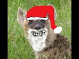 The Laughing Hyenas Christmas Special!