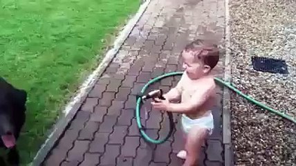 Cute kid trying to bathe the dogs