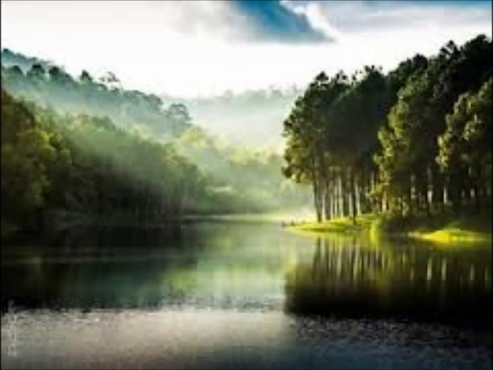 Vali - Dypt inne i skogen