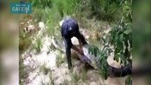 Ils font une surprenante découverte dans le corps de cet anaconda