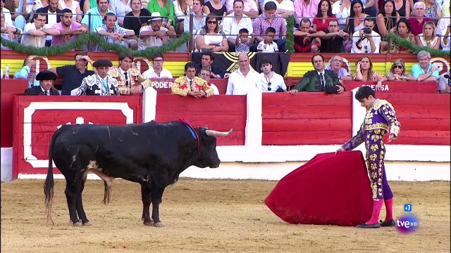 Matador sings flamenco to the bull - Torero Alejandro Talavante in Merida ( Spain )