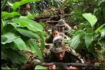 Guerrillera girl - Testigo Directo