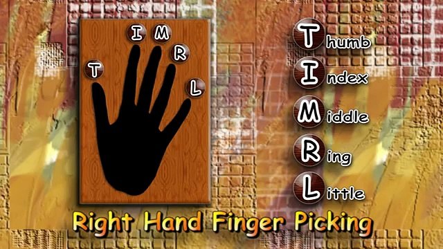 My Way - Elvis / Sinatra - Acoustic Guitar Lesson (easy-ish)