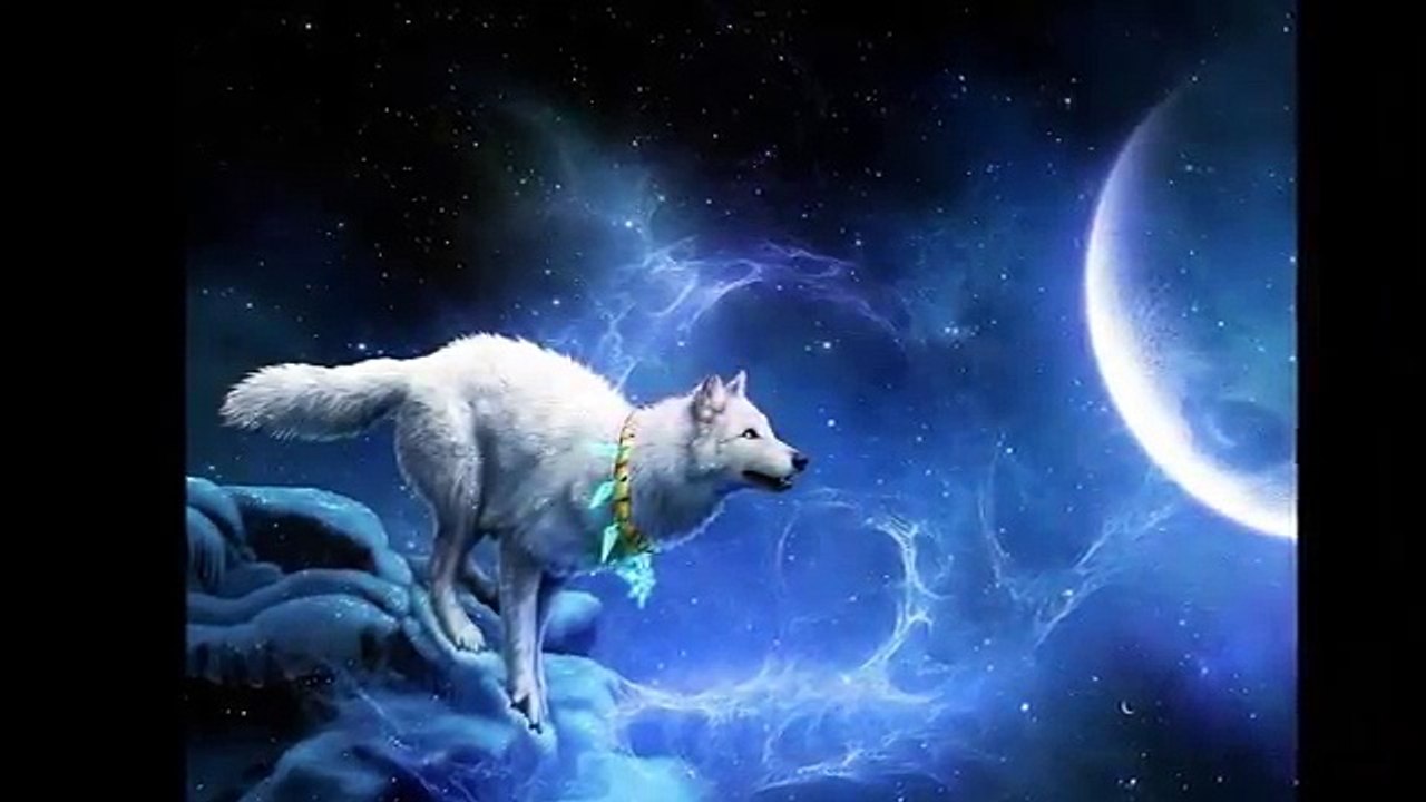 LOBOS: LAS MEJORES IMAGENES DE LOS LOBOS - WALLPAPER