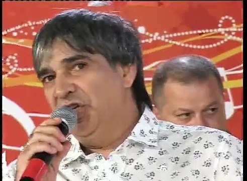 To majstore - Ljuba Alicic - Nisi znala za bol srca moga