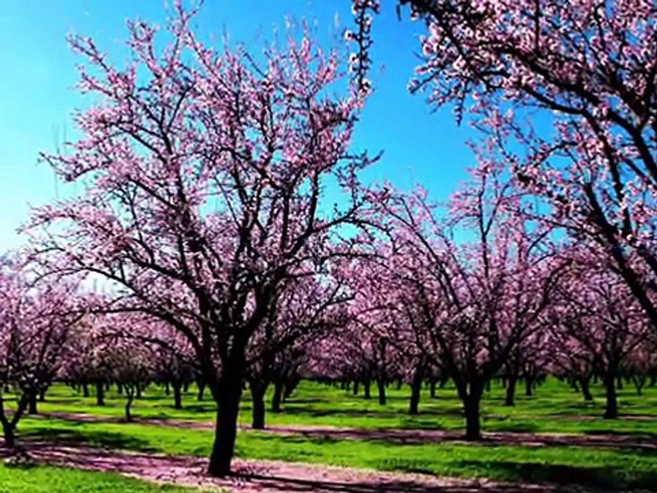 El artista supremo pinta cada dia Reflexiones cristianas cortas