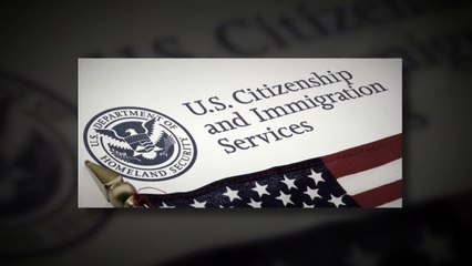 Immigration Lawyer in Oakland