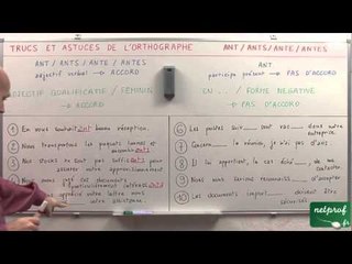 "ant", "ants", "ante" ou "antes"