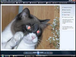 Retoucher une photo avec Vista