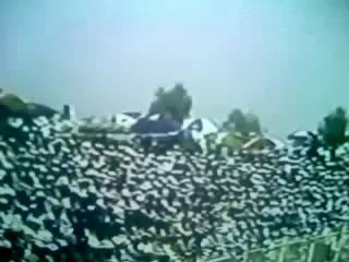 History Of Cricket - This Is The Reality Of Cricket