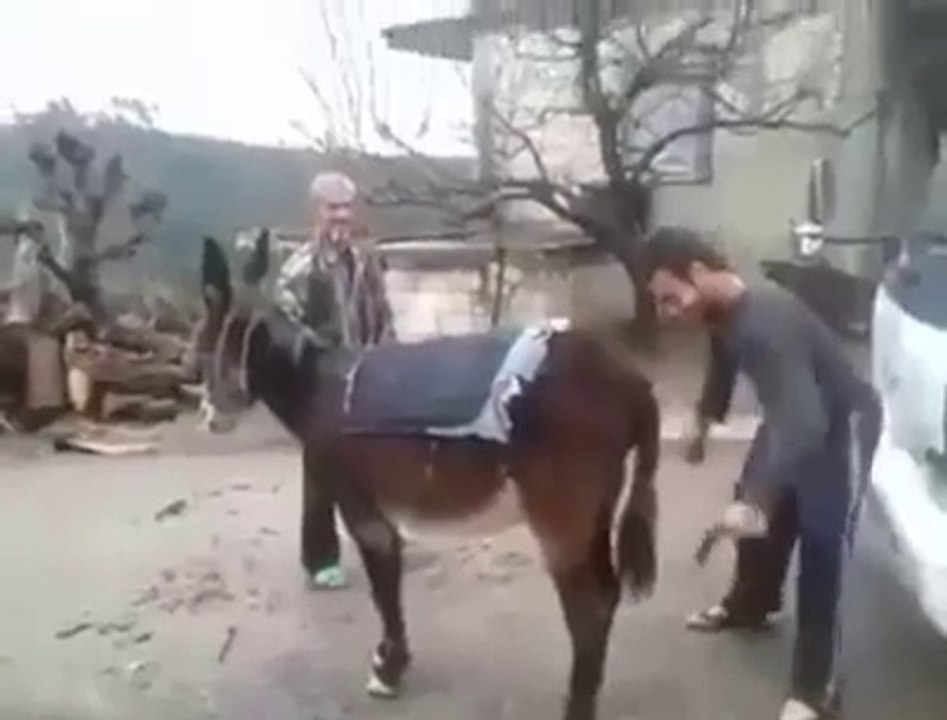 pakistani funny video