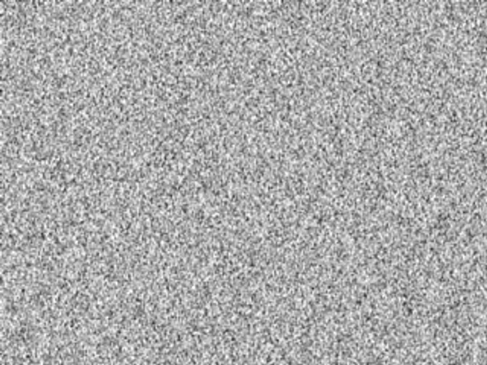 Dédicace de Gad à Jamel