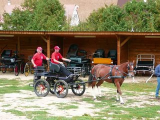 Tests en terrain Franches Montagnes