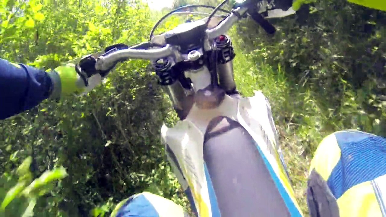 Sortie dans l'Aube 2