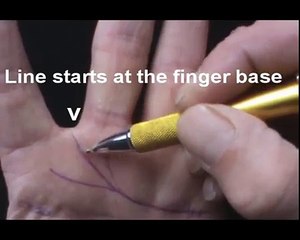 PALMISTRY-THE HEART LINE - JIM WINTER