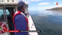 Marée noire : état d'urgence décrété en Californie