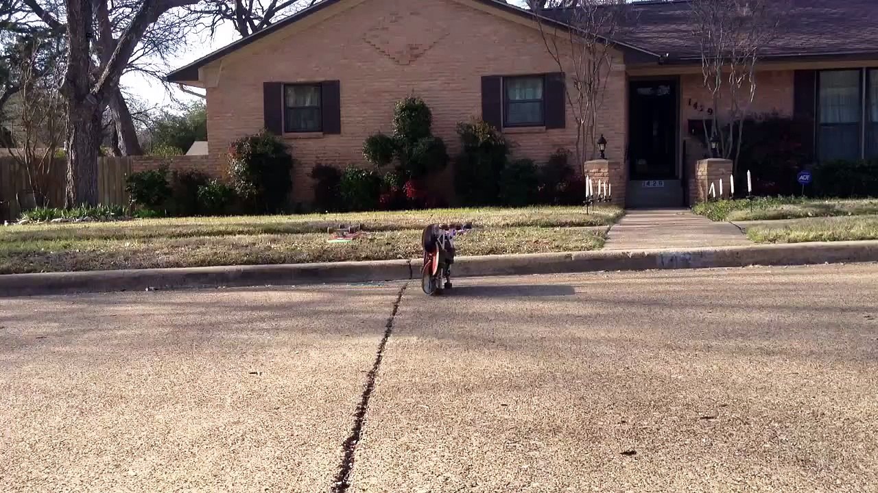BEEG SKATING